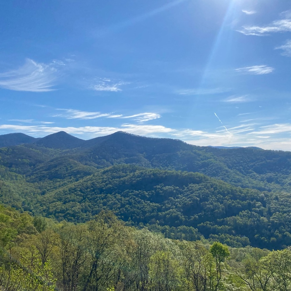 Meet your Posher, Karyn